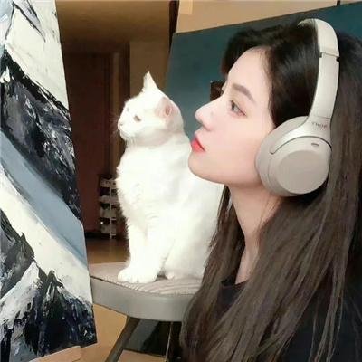 花游记